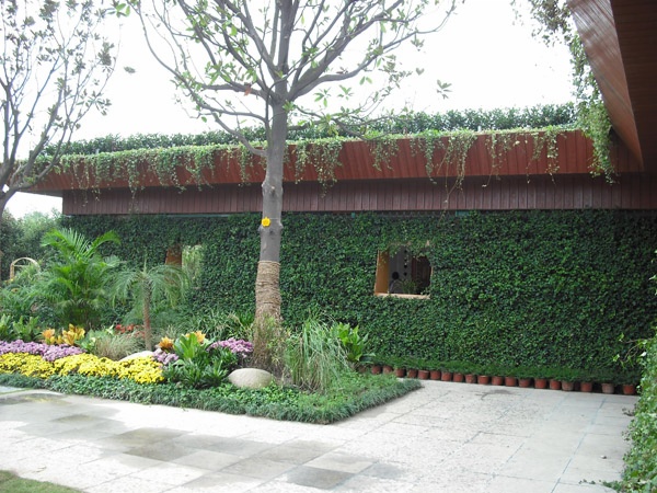 聚鋒塑木助力『江蘇省第六屆園藝博覽會(huì)』泰州展園生態(tài)環(huán)境建設(shè)