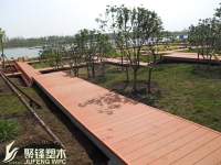 濟(jì)寧照片曲阜明故城(三孔)旅游區(qū)